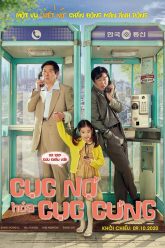 cuc-no-hoa-cuc-cung