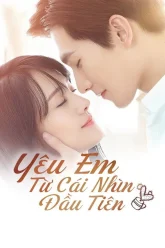 Yêu Em Từ Cái Nhìn Đầu Tiên (Love O2O 2016)