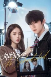 den-nhu-da-hen-66714-poster