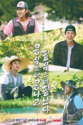 gieo-gi-gat-nay-64253-poster