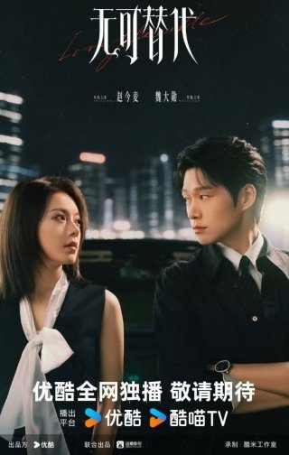 khong-the-thay-the-phan-1-67349-poster