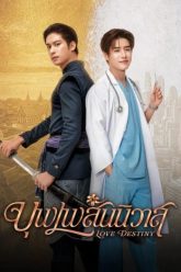 nhan-duyen-tien-dinh-63853-poster