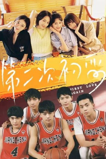 moi-tinh-dau-thu-hai-69340-poster